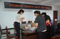 西平法院：开展“我们的节日·端午节
