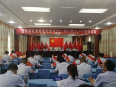 西峡税务局:庆祝党的生日 铭记党的历史