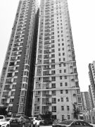 郑州又见高空坠物，一孩子被划伤