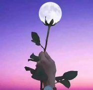 阳光般的心态,是一个女人最大的魅力