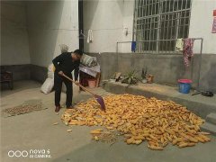 西平法院开展“双节”走访慰问活动