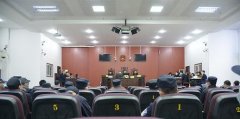 西平法院审理一起重大电信诈骗案
