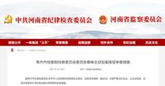 焦作一副处级干部主动投案