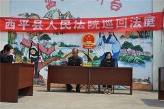 西平法院巡回审判开到村门口 普法上