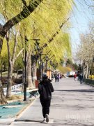 饭后散步有讲究 5个技巧助你走出好身材