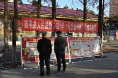西平法院开展宪法宣传活动